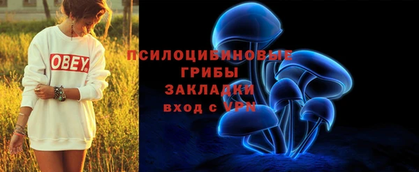 ALPHA PVP Корсаков