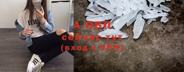 молекула духа Краснослободск